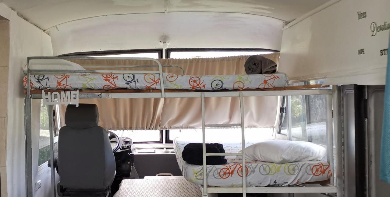 The Dreamcatcher Bus Sarchí Exteriér fotografie